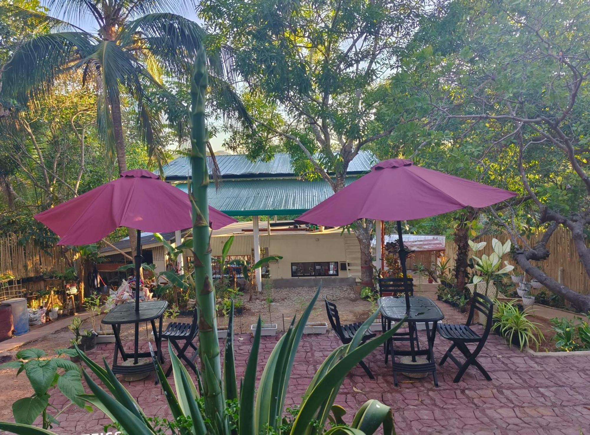 Ani Marie Guest House Coron Exterior foto